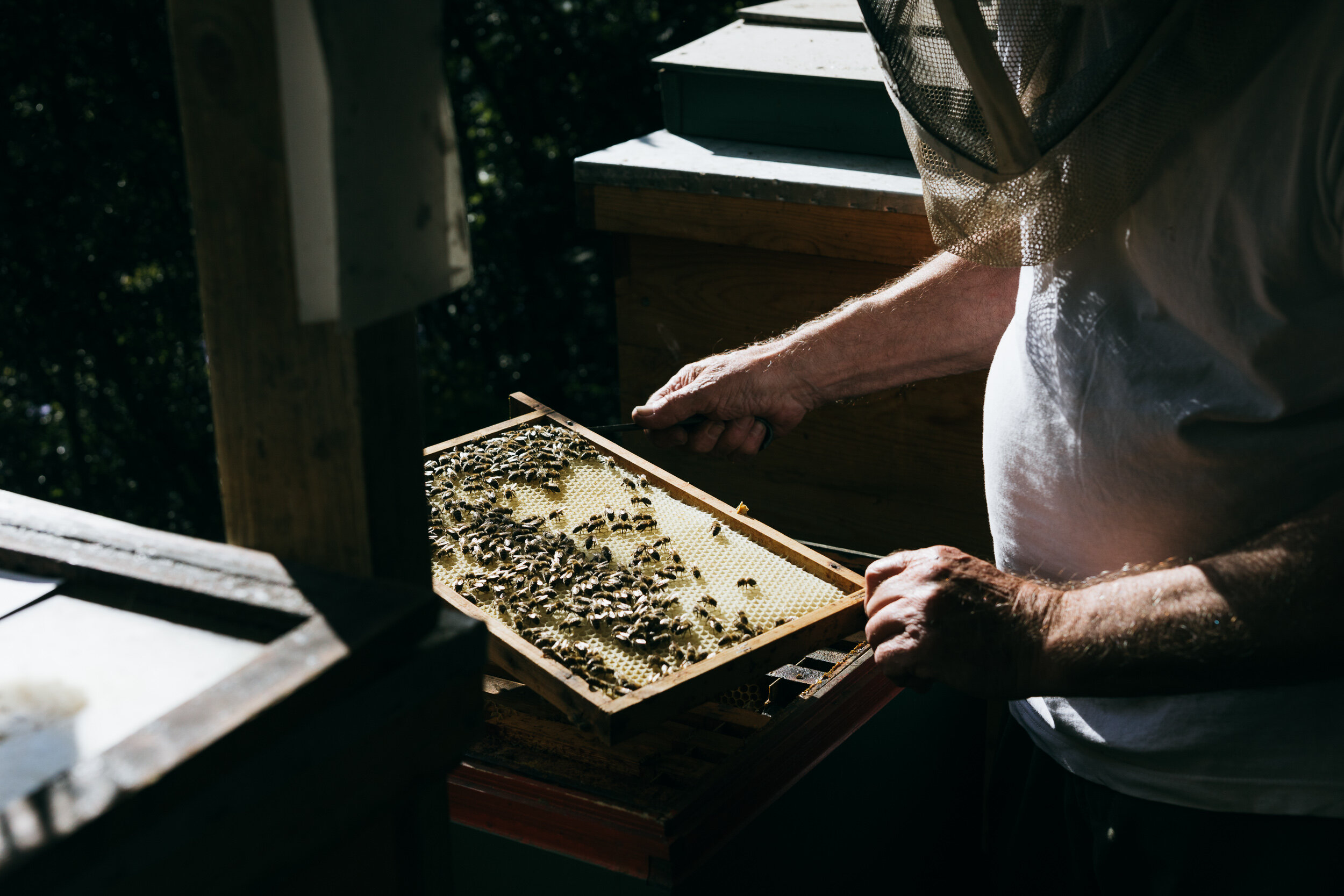 Een Plek Onder de Zon